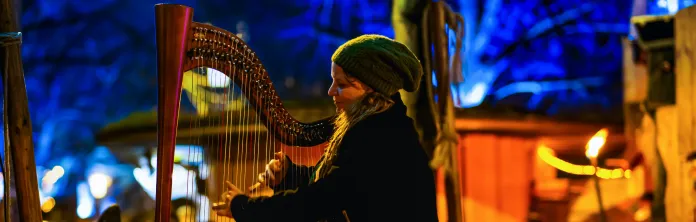 photo d'une femme jouant de la harpe